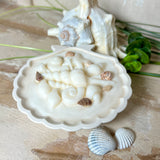 Handgefertigte Kerze „Küstenzauber“ in einer Jesmonite-Schale (ca. 11 cm). Gefüllt mit nachhaltigem Sojawachs und dekoriert mit echten Muscheln sowie handgegossenen Wachsmuscheln. Maritime Kerze – edel, dekorativ und perfekt als Geschenk oder als natürliche Meeres-Deko.