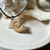 Handgefertigter Ammonit-Anhänger aus echtem Meersand & Harz mit filigraner Edelstahlöse und einer edlen Süßwasserperle. Maritimer Schmuck, inspiriert von der Kraft und Schönheit des Ozeans. Jedes Stück ein Unikat. Präsentiert auf einer Muschel, mit Lederkette.