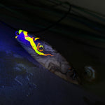 Handgefertigter Surfbrett-Anhänger aus Olivenholz und fluoreszierendem Harz in Gelb und Orange. Das leuchtende Harz beginnt unter Schwarzlicht intensiv zu strahlen und macht den Anhänger zu einem echten Highlight. Größe ca. 6,3 × 2 cm, mit Edelstahl-Anhängerschlaufe und Lederkette mit Edelstahlverschluss und 5 cm Verlängerung. Jedes Schmuckstück ist ein Unikat – Maserung und Farbspiel sind einzigartig. Ideal für Naturliebhaber und Individualisten.