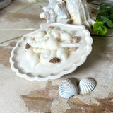 Handgefertigte Kerze „Küstenzauber“ in einer Jesmonite-Schale (ca. 11 cm). Gefüllt mit nachhaltigem Sojawachs und dekoriert mit echten Muscheln sowie handgegossenen Wachsmuscheln. Maritime Kerze – edel, dekorativ und perfekt als Geschenk oder als natürliche Meeres-Deko.