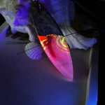 Aurora Flame – fluoreszierender Surfbrett-Anhänger aus Maserholz und leuchtendem Epoxidharz in Rosa, Pink, Orange und Weiß. Der handgefertigte Unikat-Anhänger fluoresziert bei Schwarzlicht in intensiven Farbtönen. Er ist ca. 6,3 x 2 cm groß, wird an einem verstellbaren Lederband (26–45 cm) getragen und ist mit einer silberfarbenen Spacerperle verziert. Ein ausdrucksstarkes Schmuckstück für Menschen mit Persönlichkeit.