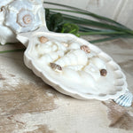 Handgefertigte Kerze „Küstenzauber“ in einer Jesmonite-Schale (ca. 11 cm). Gefüllt mit nachhaltigem Sojawachs und dekoriert mit echten Muscheln sowie handgegossenen Wachsmuscheln. Maritime Kerze – edel, dekorativ und perfekt als Geschenk oder als natürliche Meeres-Deko.