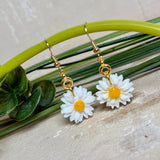 Handgefertigte Gänseblümchen-Ohrringe aus Harz mit 925 vergoldeten Ohrhaken, weiße Blüte mit gelbem Zentrum, goldfarbene Details, Länge ca. 4,5 cm.