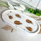 Handgefertigtes Schmucktablett aus Jesmonite mit echten Zapfen, die in einer glänzenden Resin-Schicht eingebettet sind. Die ovale Form und die natürliche Farbgebung machen es zu einem stilvollen Wohnaccessoire. Mit rutschfesten Korkpunkten auf der Unterseite ideal als Ablage für Schmuck, Schlüssel oder Dekoartikel. Jeder Artikel ist ein Unikat aus Handarbeit – Lieferung ohne Dekoration.