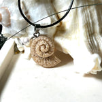 Handgefertigter Anhänger in Ammonit-Form aus echtem Meersand und Harz, kombiniert mit einer weißen Süßwasserperle. Der maritime Anhänger hängt an einer schwarzen Lederkette mit Edelstahlöse und Karabinerverschluss. Im Hintergrund liegt eine weiße Muschel, die das natürliche, strandinspirierte Design des Schmuckstücks unterstreicht. Ideal als besonderes Geschenk oder Erinnerung an den Sommer.