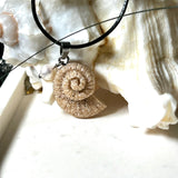 Handgefertigter Anhänger in Ammonit-Form aus echtem Meersand und Harz, kombiniert mit einer weißen Süßwasserperle. Der maritime Anhänger hängt an einer schwarzen Lederkette mit Edelstahlöse und Karabinerverschluss. Im Hintergrund liegt eine weiße Muschel, die das natürliche, strandinspirierte Design des Schmuckstücks unterstreicht. Ideal als besonderes Geschenk oder Erinnerung an den Sommer.