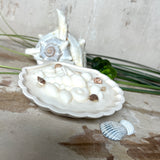 Handgefertigte Kerze „Küstenzauber“ in einer Jesmonite-Schale (ca. 11 cm). Gefüllt mit nachhaltigem Sojawachs und dekoriert mit echten Muscheln sowie handgegossenen Wachsmuscheln. Maritime Kerze – edel, dekorativ und perfekt als Geschenk oder als natürliche Meeres-Deko.