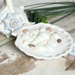 Handgefertigte Kerze „Küstenzauber“ in einer Jesmonite-Schale (ca. 11 cm). Gefüllt mit nachhaltigem Sojawachs und dekoriert mit echten Muscheln sowie handgegossenen Wachsmuscheln. Maritime Kerze – edel, dekorativ und perfekt als Geschenk oder als natürliche Meeres-Deko.