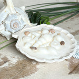 Handgefertigte Kerze „Küstenzauber“ in einer Jesmonite-Schale (ca. 11 cm). Gefüllt mit nachhaltigem Sojawachs und dekoriert mit echten Muscheln sowie handgegossenen Wachsmuscheln. Maritime Kerze – edel, dekorativ und perfekt als Geschenk oder als natürliche Meeres-Deko.