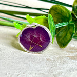 Anhänger mit echter Pusteblume in Harz, Hintergrund Brombeerfarben, Durchmesser 22 mm, nickelfreie Silberoptik-Fassung. Handgefertigtes Unikat – kleine Abweichungen möglich.