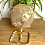 Achatgeode auf Metallständer – Naturkristall 12 cm